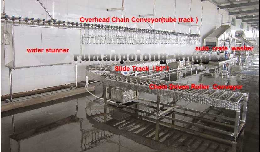 Roller Conveyor rumah potong hewan unggas
