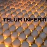 TELUR INFERTIL
